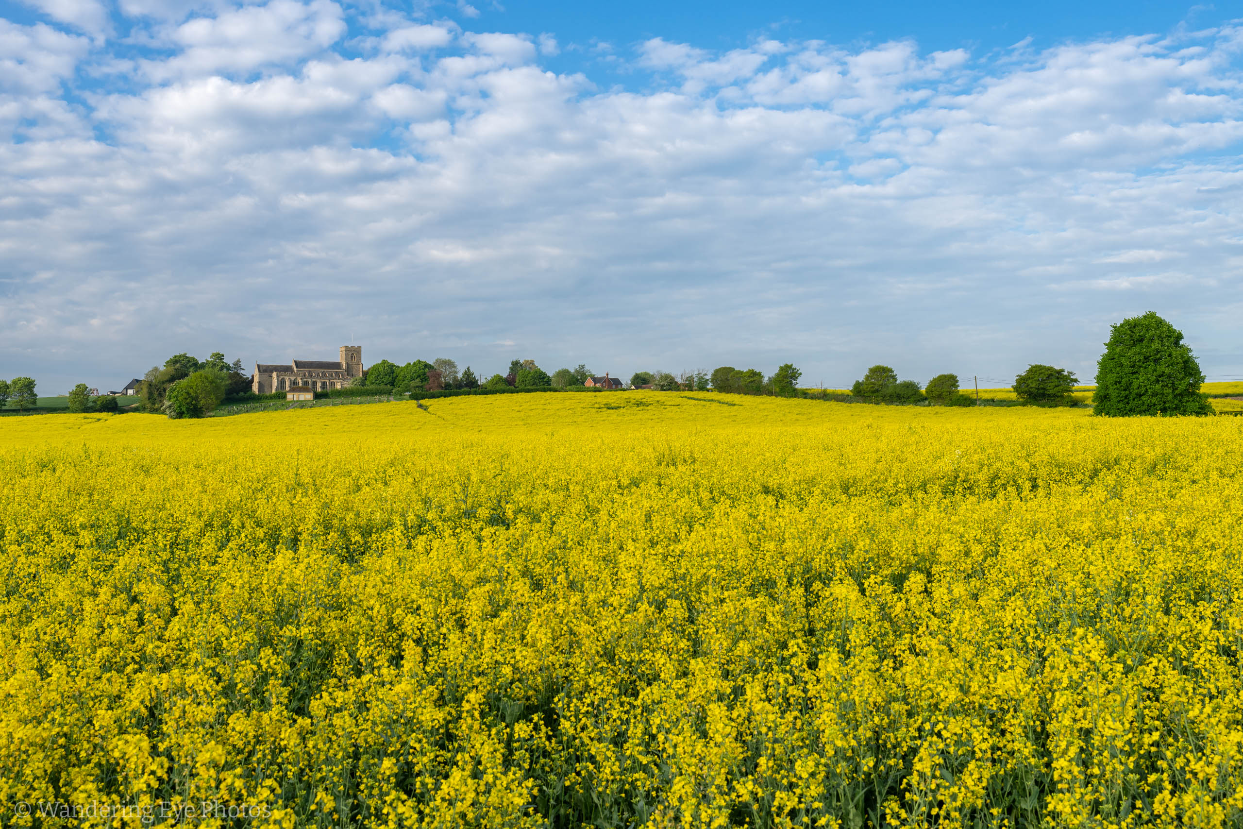 05.02 07.48.28   DSC09814